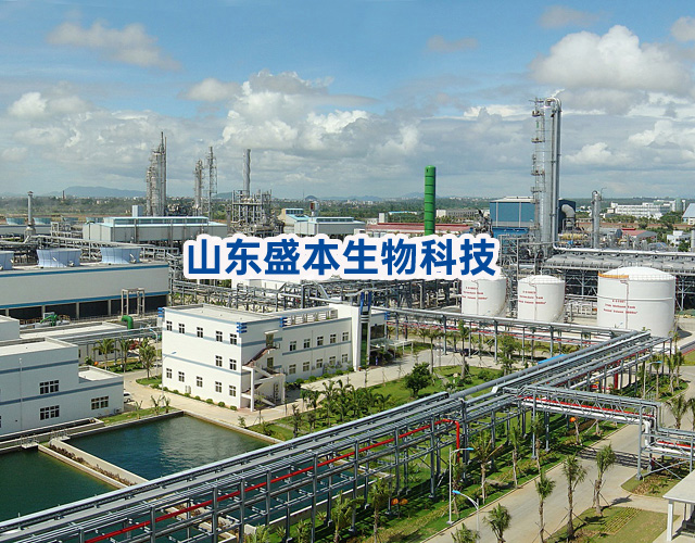 test5